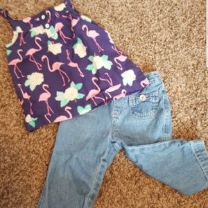 Flamingos in the Sun Outfit